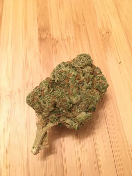 Sensi Star cannabis strain, community photo 5