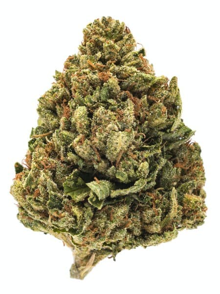 SFV OG cannabis strain, community photo 2