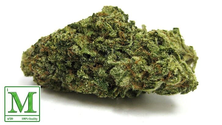 SFV OG cannabis strain, community photo 3