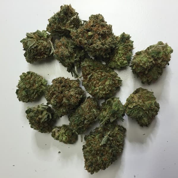 SFV OG cannabis strain, community photo 4
