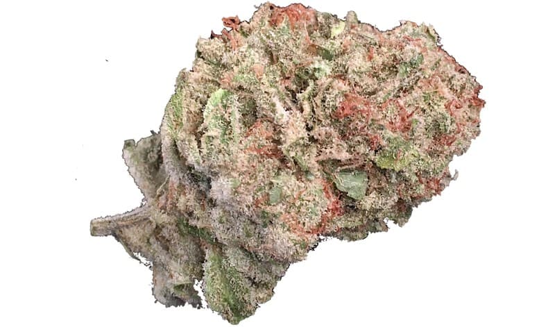 Shangri-La cannabis strain, community photo 1