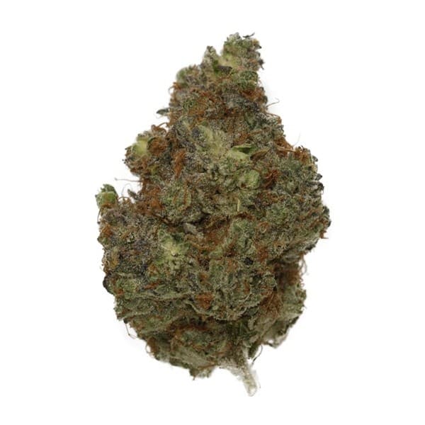 Sherbet cannabis strain, community photo 1