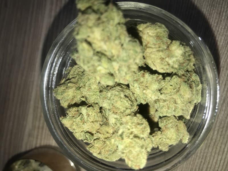 Sherbet cannabis strain, community photo 3