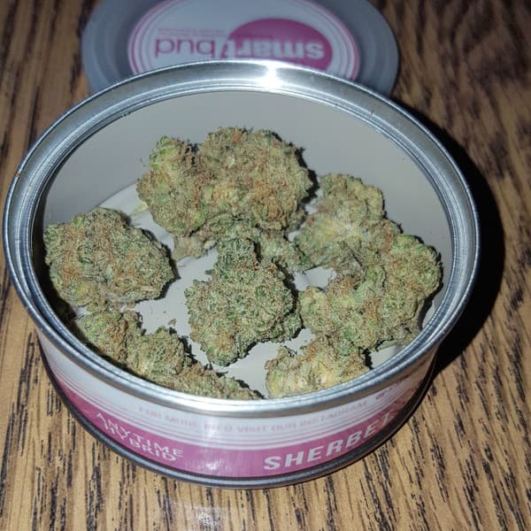 Sherbet cannabis strain, community photo 4