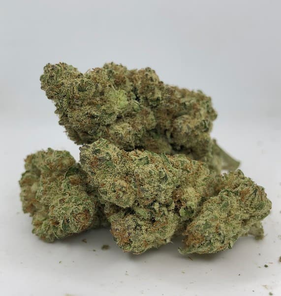 Sherblato cannabis strain, community photo 1