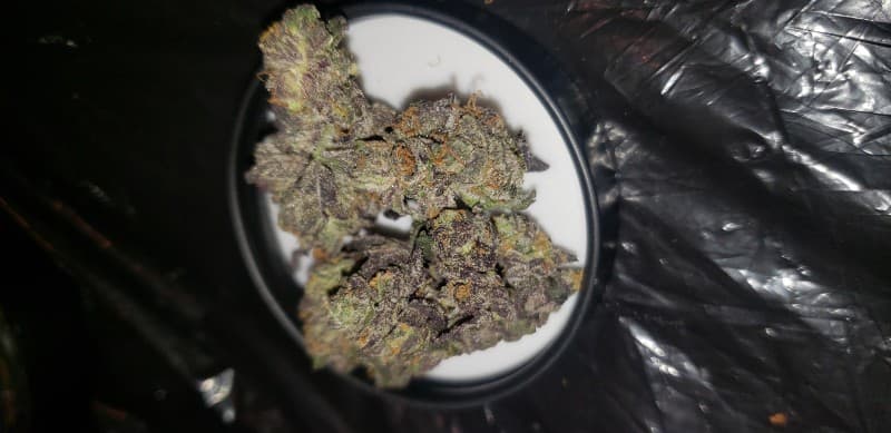 Sherblato cannabis strain, community photo 3