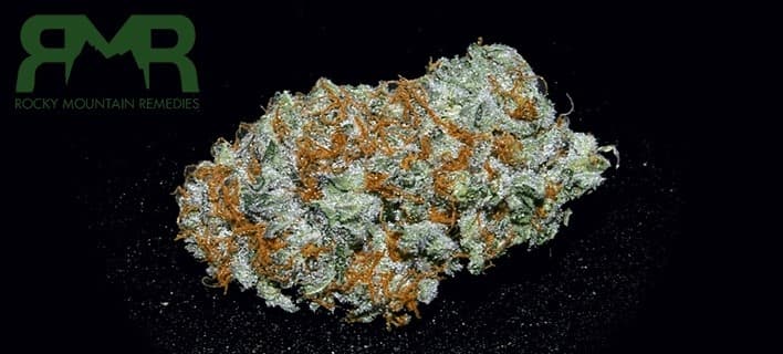 Shipwreck cannabis strain, community photo 3