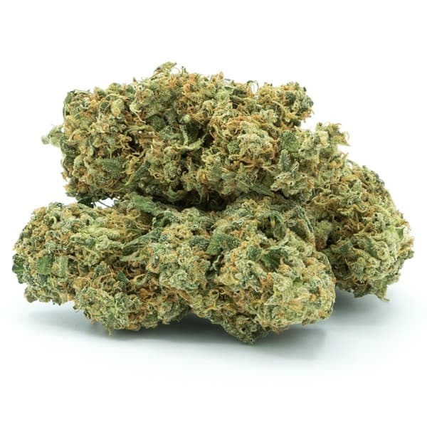 Silver Haze cannabis strain, community photo 1