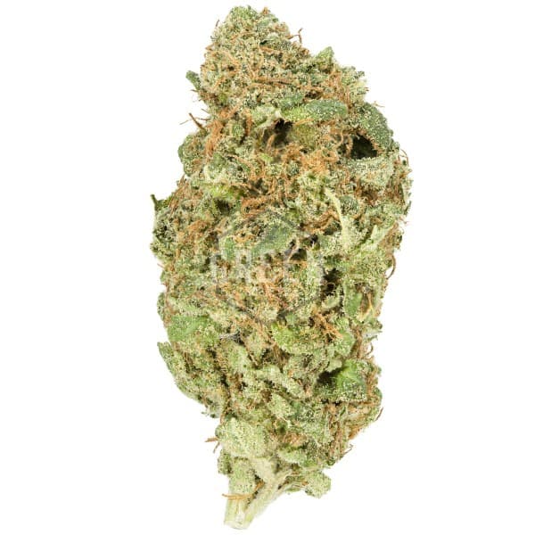 Silver Haze cannabis strain, community photo 3