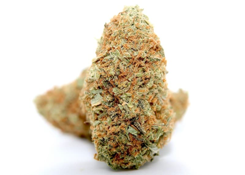 Silver Kush cannabis strain, community photo 1