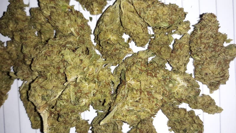Silver Kush cannabis strain, community photo 4
