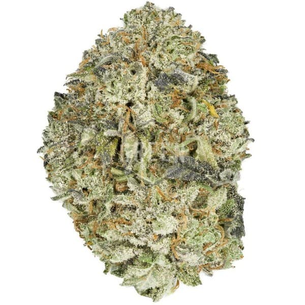 Skunk #1 cannabis strain, community photo 5