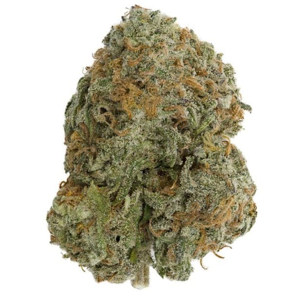 Skunkberry cannabis strain, community photo 1