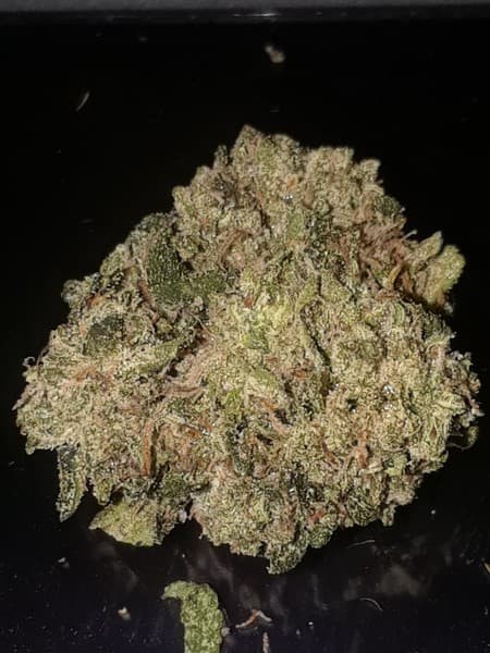 Skunkberry cannabis strain, community photo 2