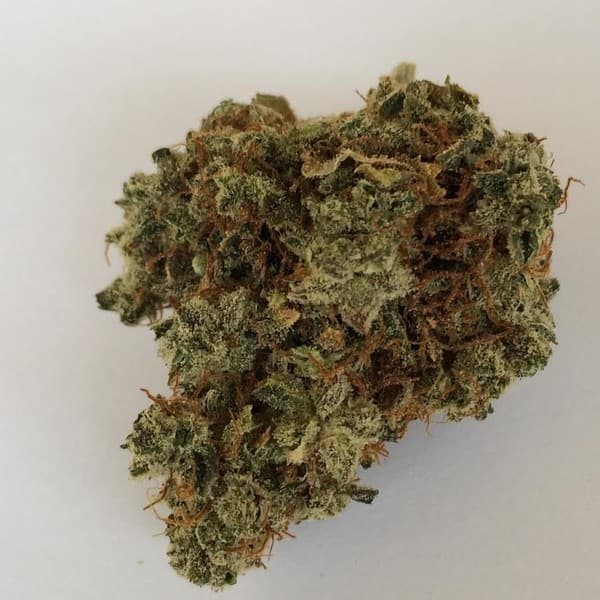 Skywalker cannabis strain, community photo 1