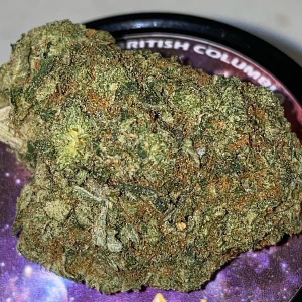 Skywalker cannabis strain, community photo 2