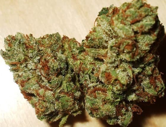 Skywalker cannabis strain, community photo 3