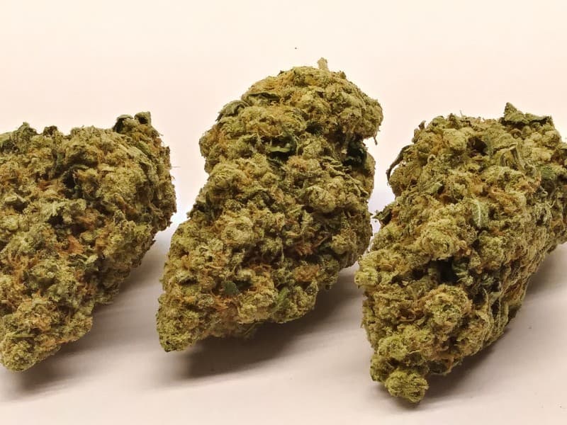 Skywalker cannabis strain, community photo 4