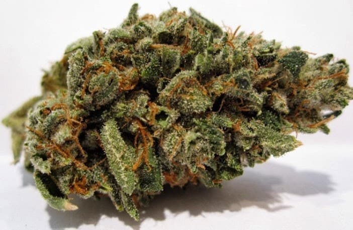 Skywalker cannabis strain, community photo 7