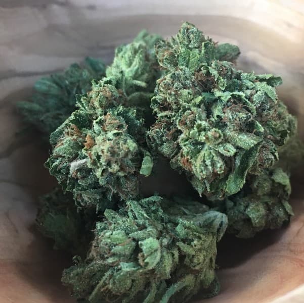 Skywalker cannabis strain, community photo 8
