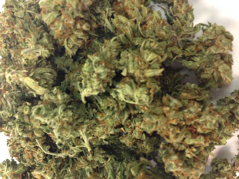 Skywalker cannabis strain, community photo 9