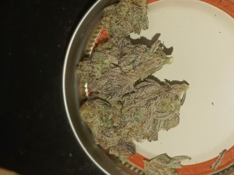 Slapz cannabis strain, community photo 1