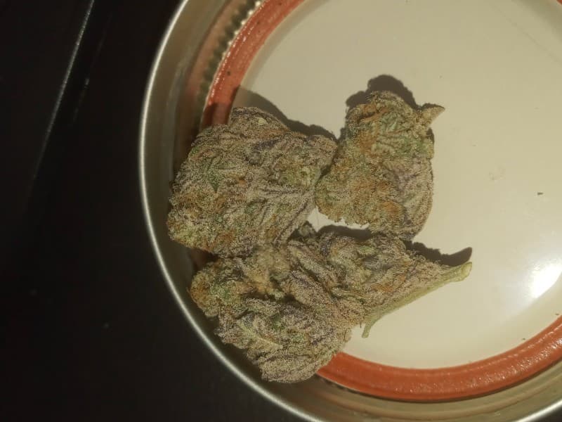 Slapz cannabis strain, community photo 2