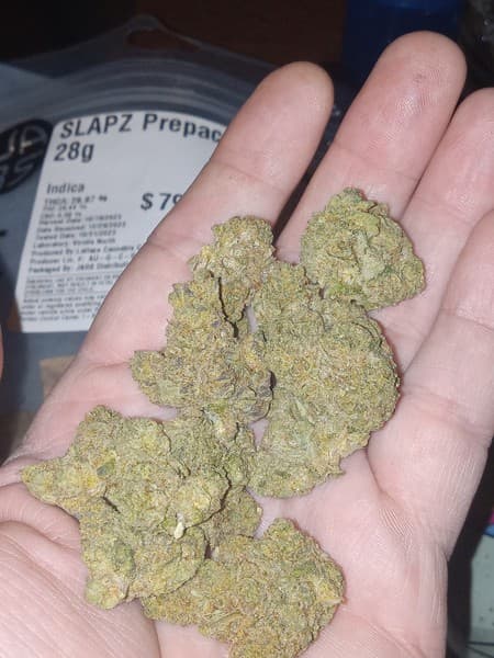 Slapz cannabis strain, community photo 4