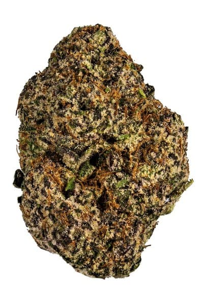 Slapz cannabis strain, community photo 5