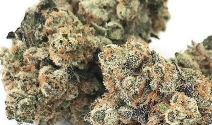 Slurricane cannabis strain, community photo 10