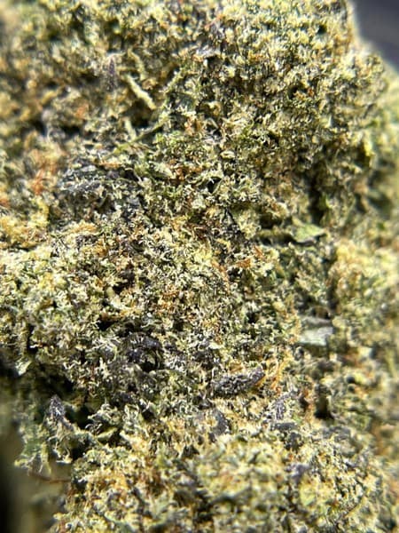 Slurricane cannabis strain, community photo 2