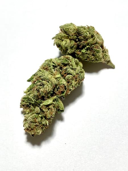 Slurricane cannabis strain, community photo 5