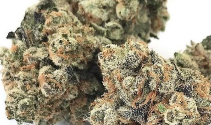 Slurricane cannabis strain, community photo 6