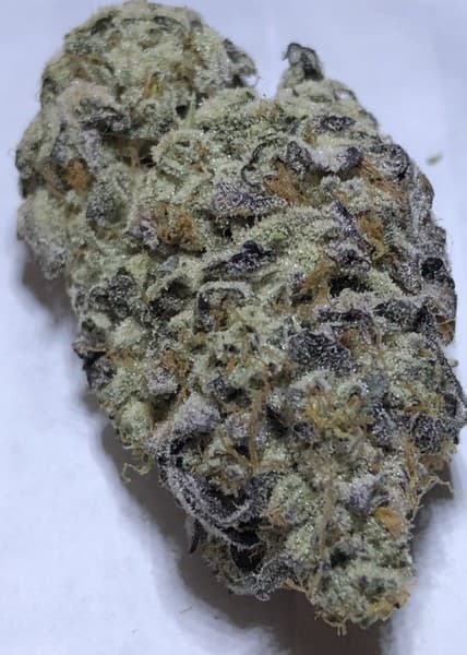 Slurricane cannabis strain, community photo 7