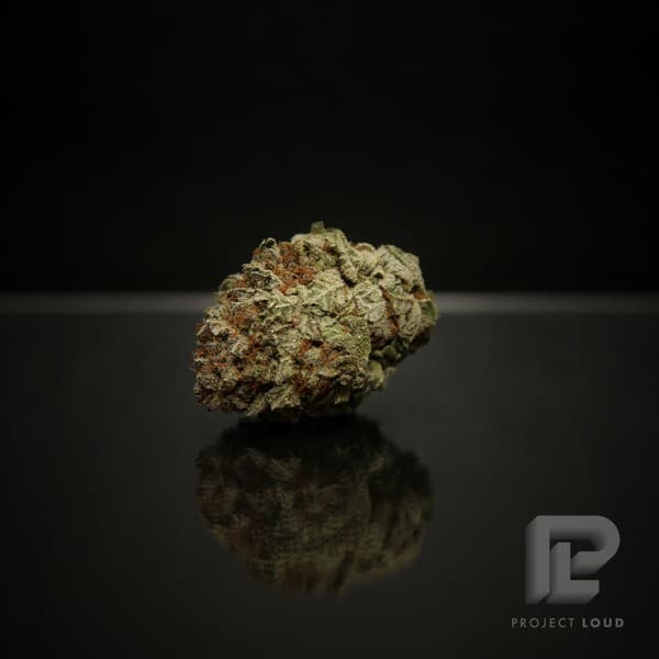 Snow White cannabis strain, community photo 1