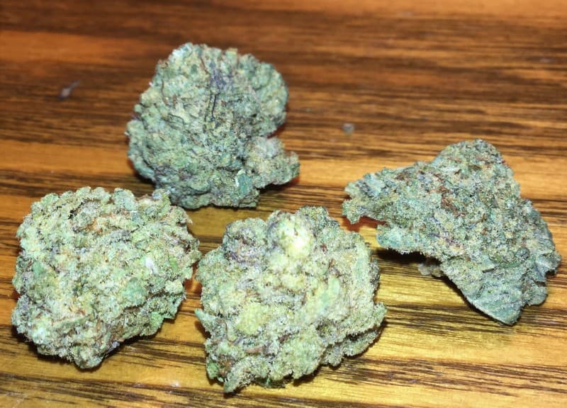 Snow White cannabis strain, community photo 2