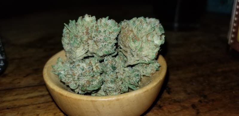 Snowball cannabis strain, community photo 2