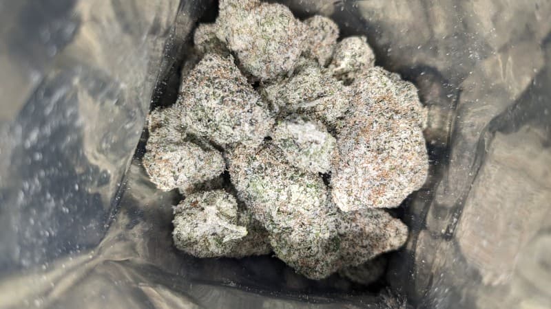 Snowball cannabis strain, community photo 5