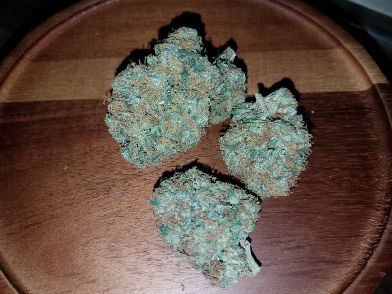 Snowcap cannabis strain, community photo 1
