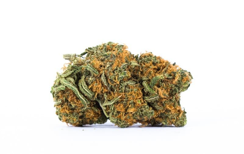 Snowcap cannabis strain, community photo 2