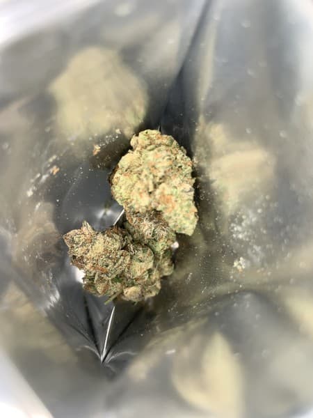 Snowman cannabis strain, community photo 1