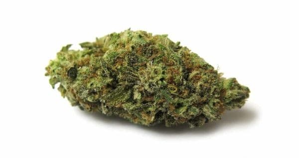 Snowman cannabis strain, community photo 2