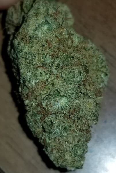 Sour Apple cannabis strain, community photo 2