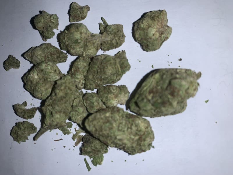 Sour Apple cannabis strain, community photo 4
