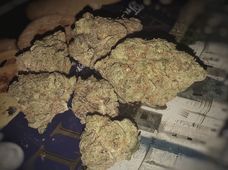 Sour Candy cannabis strain, community photo 2