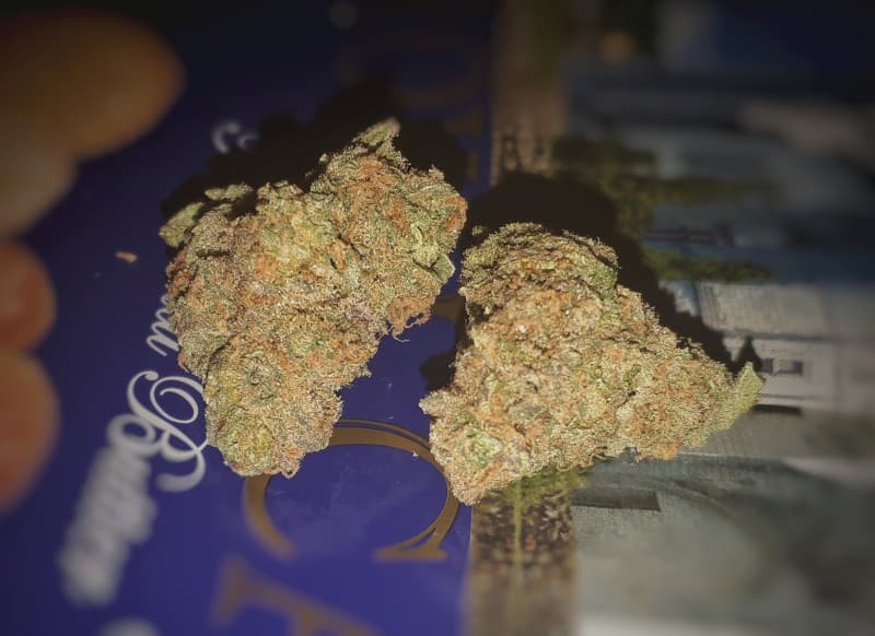Sour Candy cannabis strain, community photo 3