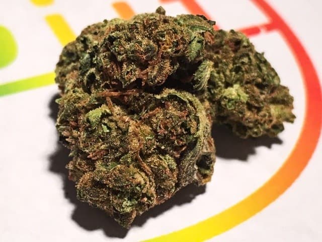 Sour Cream cannabis strain, community photo 1