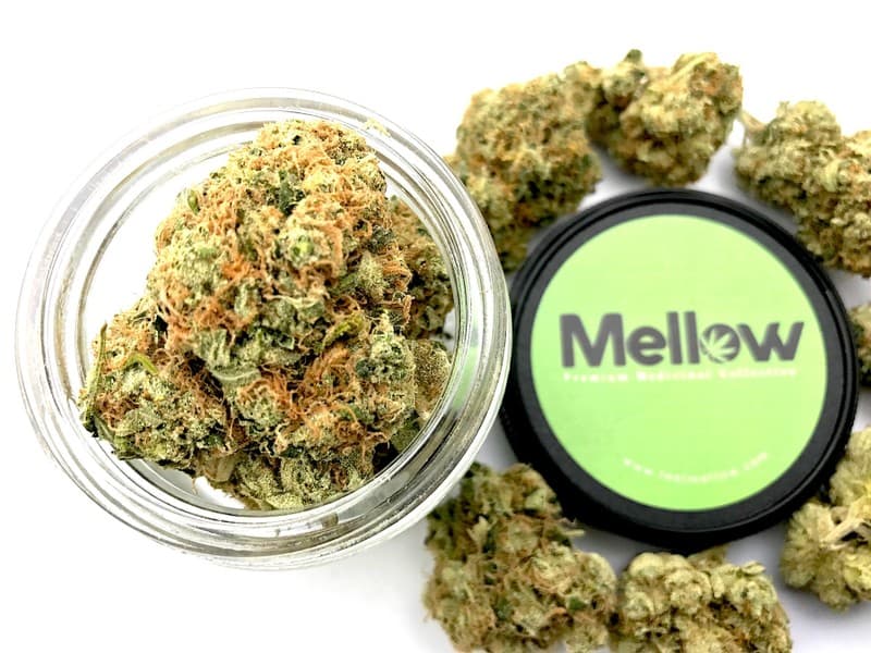 Sour Diesel cannabis strain, community photo 1
