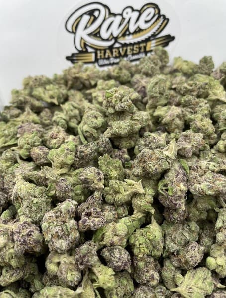 Sour Diesel cannabis strain, community photo 6