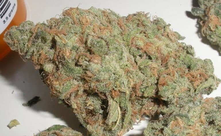 Sour Dream cannabis strain, community photo 1